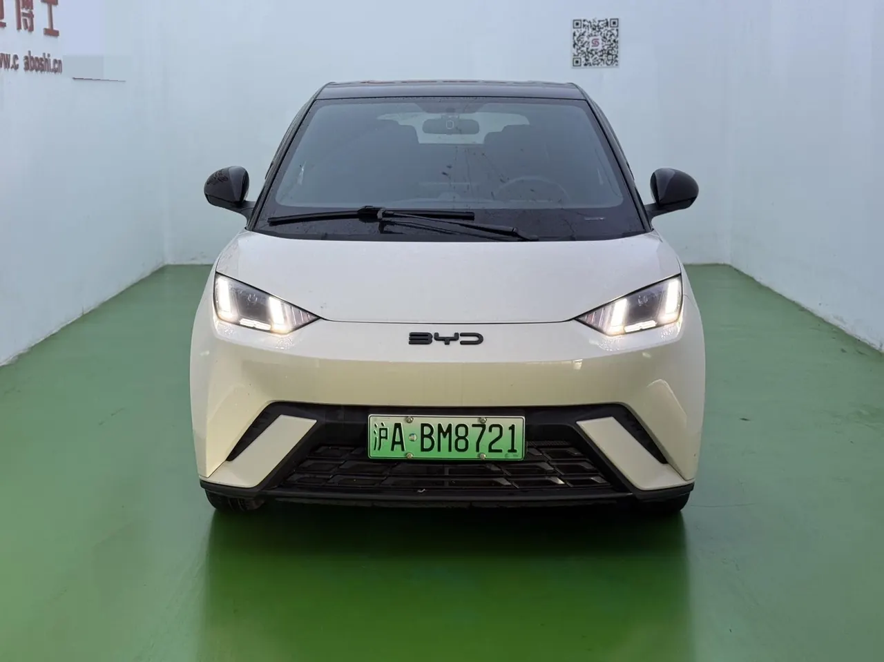 BYD 2025 seagulls 305km free version automatic gear 2