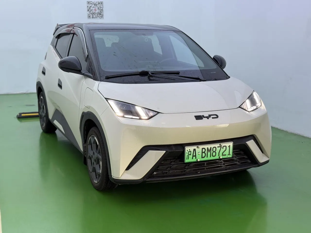 BYD 2025 seagulls 305km free version automatic gear 3