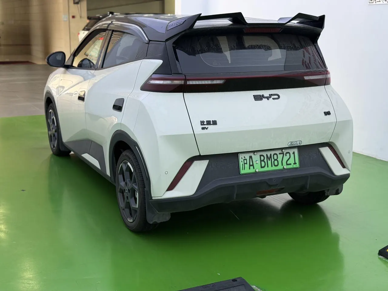 BYD 2025 seagulls 305km free version automatic gear 4
