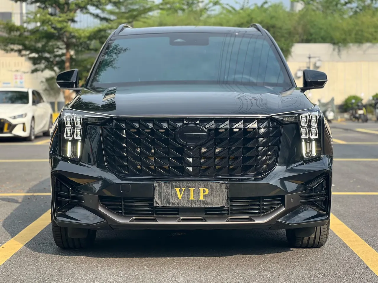 Trumpchi 2025 GS8 2.0TGDI Leading Series, Two-Wheel Drive Luxury Version, 5-Seater, Automatic Transmission 5