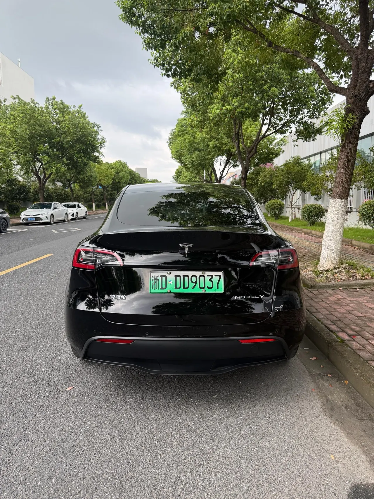 Tesla 2022 Model Y rear-wheel drive version (facelift) automatic gear 8