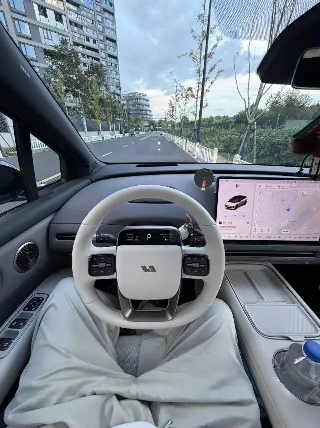 Li 2025 I 300.00g Drive Standard Edition Automatic Gear 6