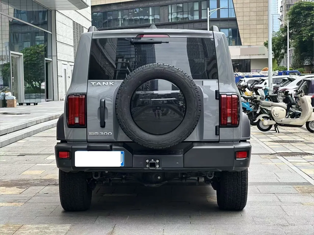Tank 2021 Tank 300 2.0T Off-road Conqueror Automatic 5