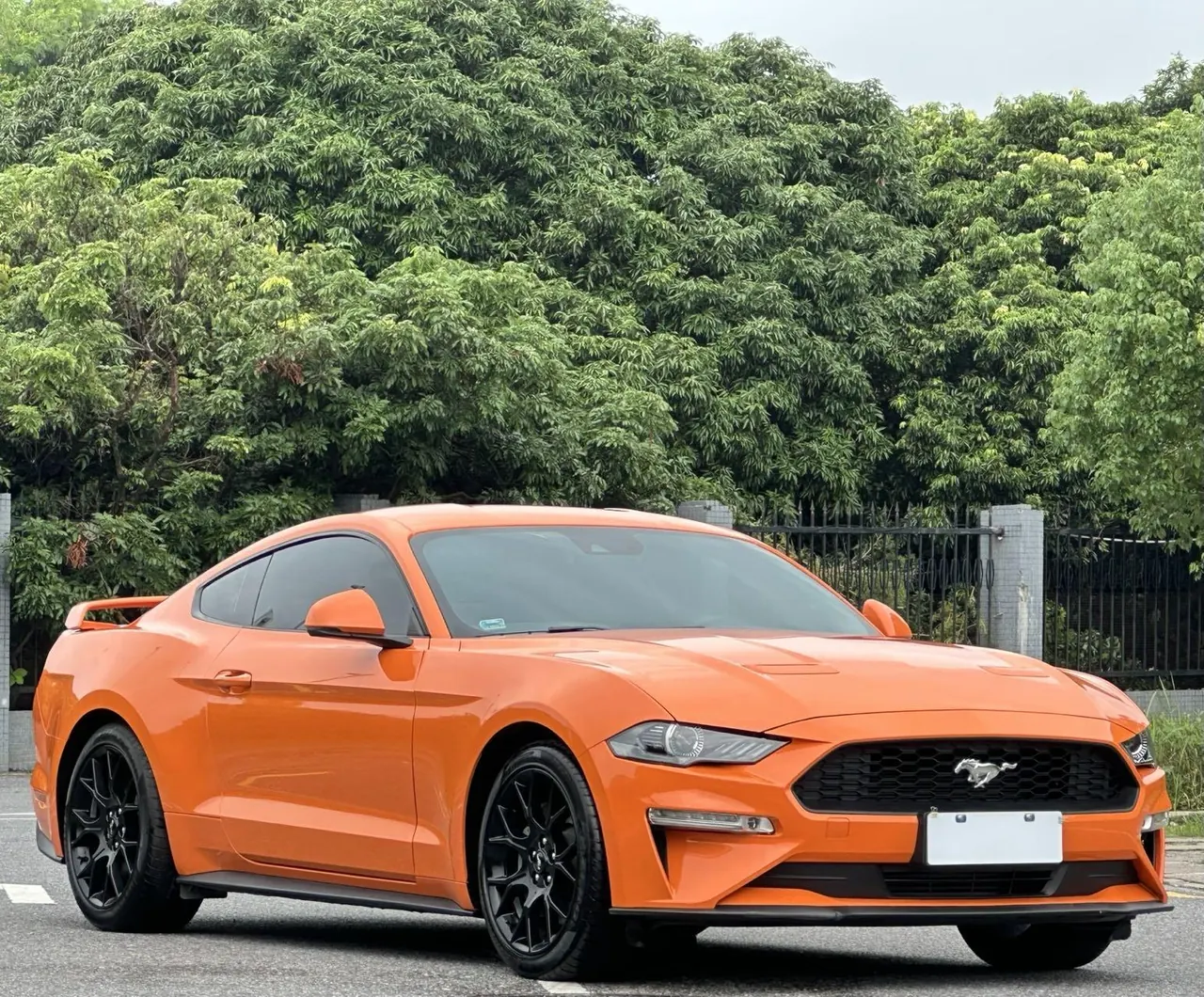 Ford Yema (Imported) 2021 Yema 2.3T EcoBoost Automatic 3