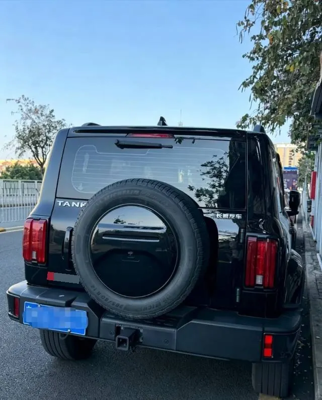 Tank 2023 Tank 300 2.0T City Edition Very Automatic 8