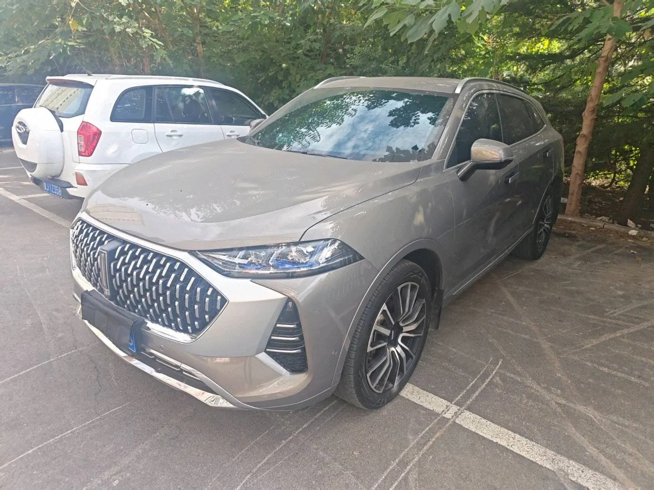 Open image lightbox: WEY 2021 mocha 48V 2.0T 4-wheel drive special alcohol version automatic gear