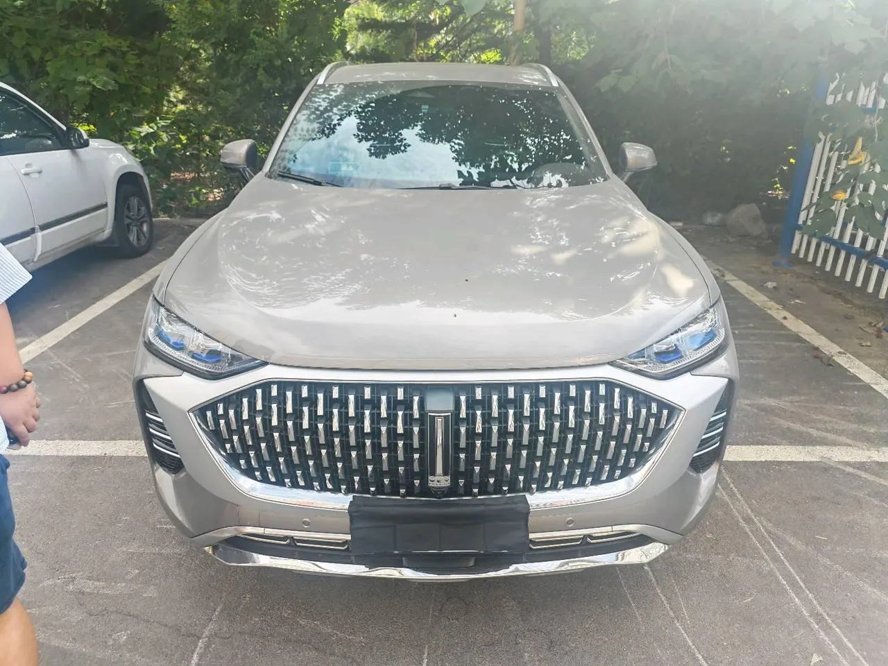 WEY 2021 mocha 48V 2.0T 4-wheel drive special alcohol version automatic gear 2