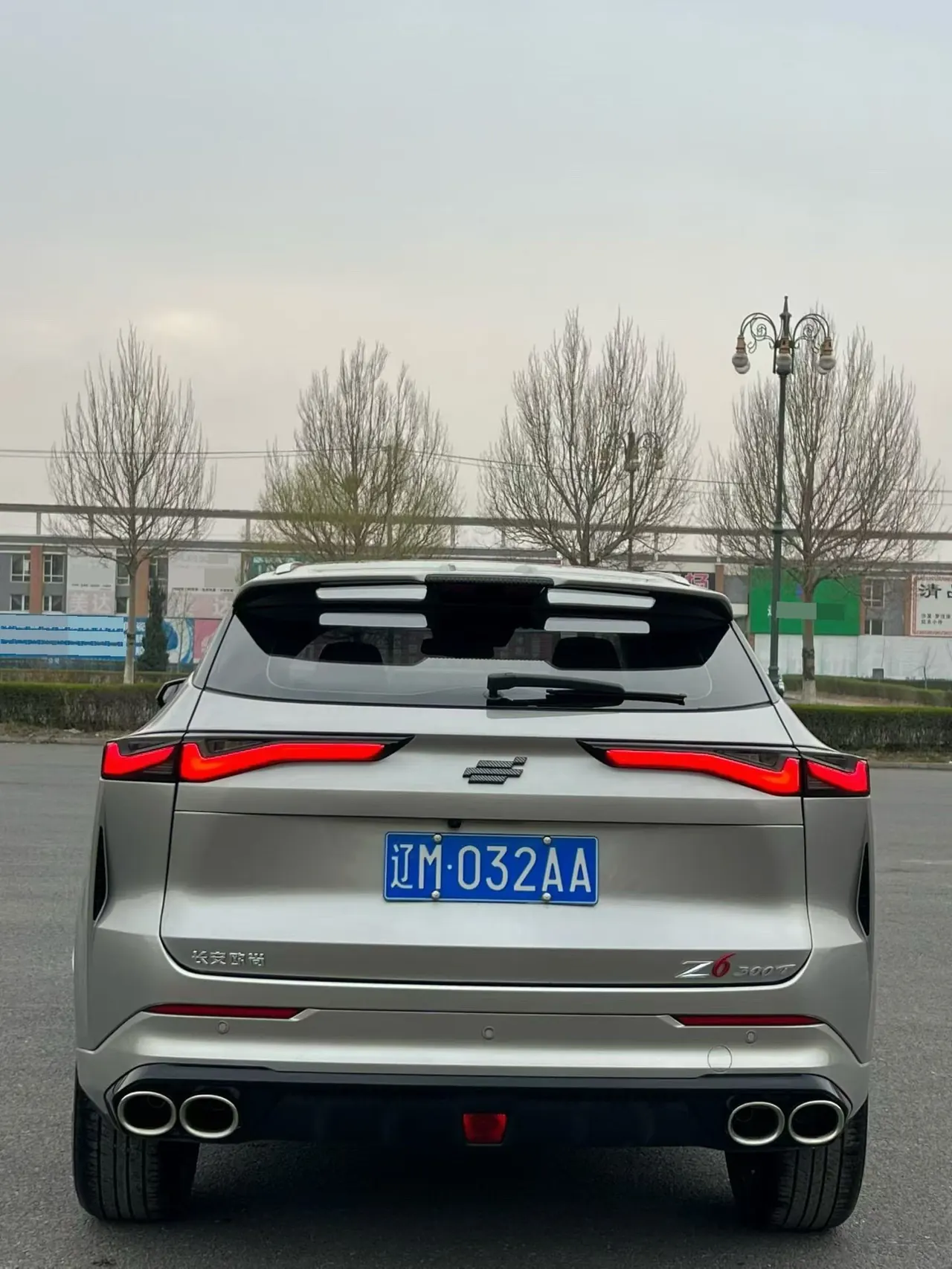 Oshan 2022 Z6 1.5T Blue Whale Zhihang Automatic Gear 5