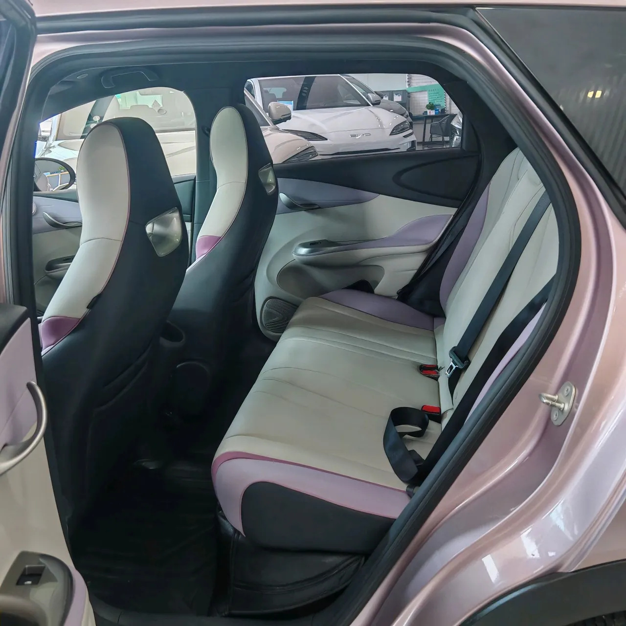 BYD 2021 Dolphin 405km Fashion Edition Automatic 11