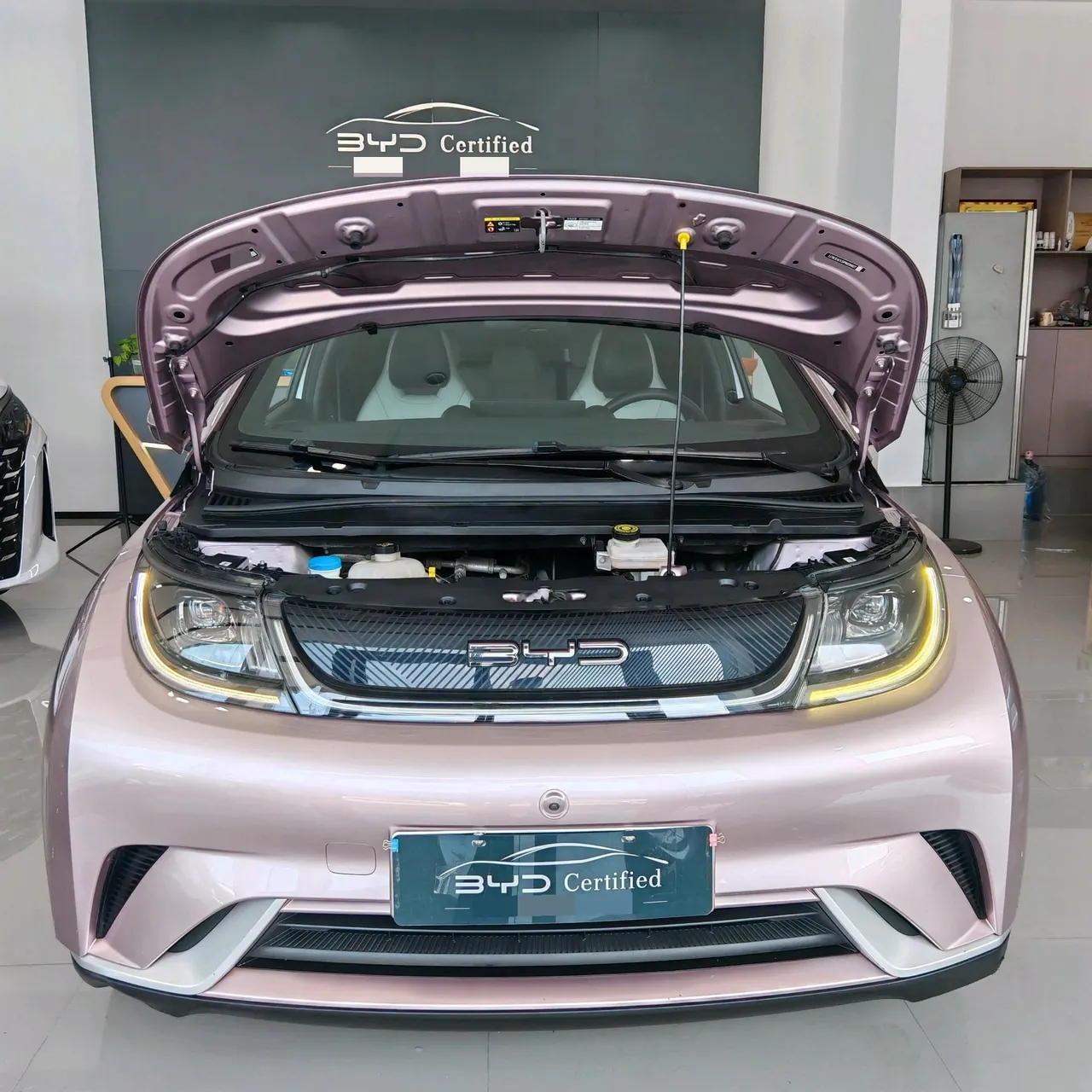 BYD 2021 Dolphin 405km Fashion Edition Automatic 2