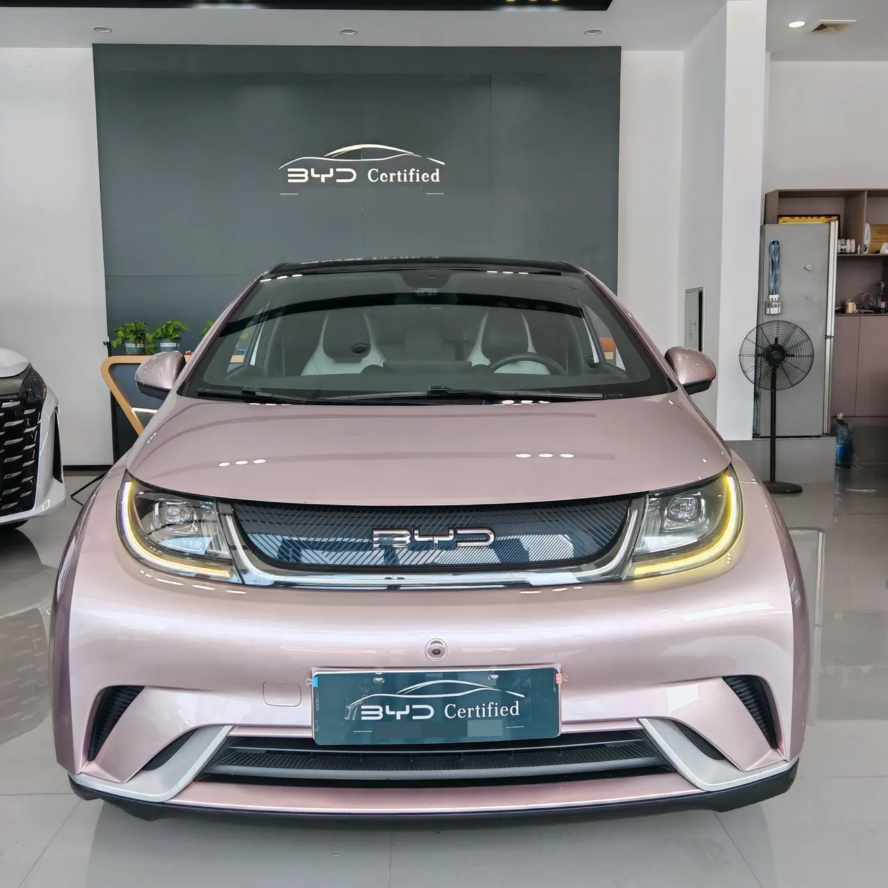 BYD 2021 Dolphin 405km Fashion Edition Automatic 3