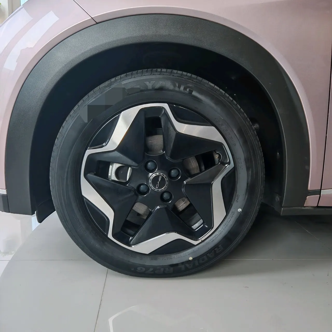BYD 2021 Dolphin 405km Fashion Edition Automatic 8