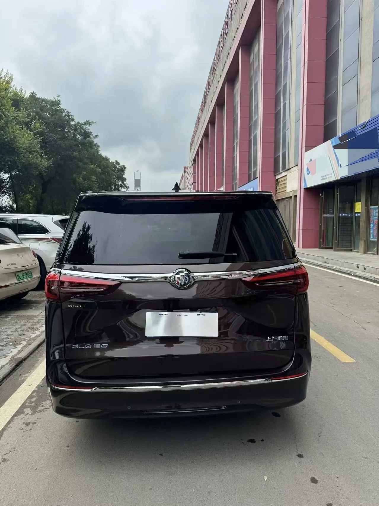 Buick 2021 GL8 ES Lu Zun 2.0T 653T Exclusive Automatic Gear 5