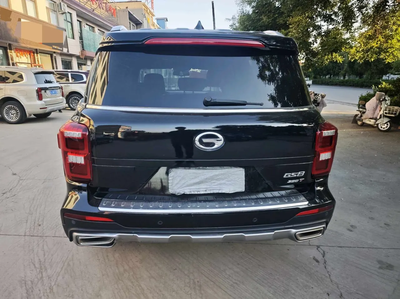 Chuanqi 2020 GS8 2.0T 390T Two-Drive Deluxe Zhilian Commemorative Edition Seven-seat Automatic Gear 10