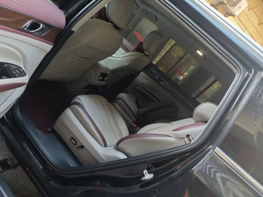 Ford 2021 Lingyu 2.0T EcoBoost 225 Zunling PLUS Automatic Gear 6