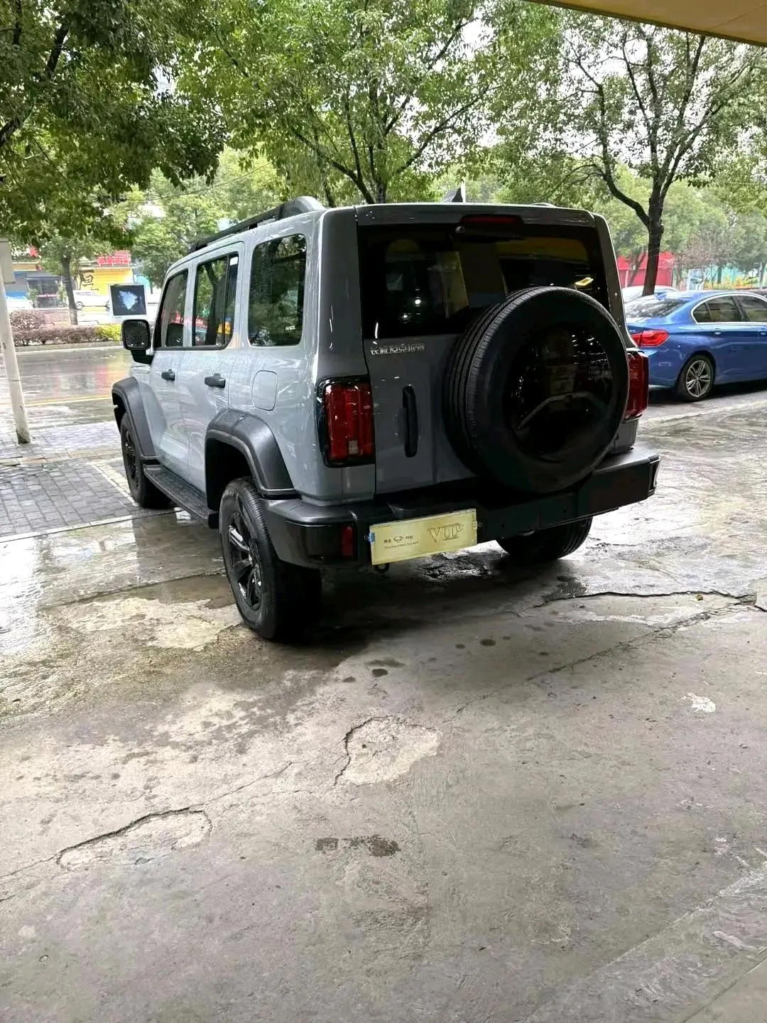 Tank 2023 Tank 300 2.0T Off-road Conqueror Automatic 2