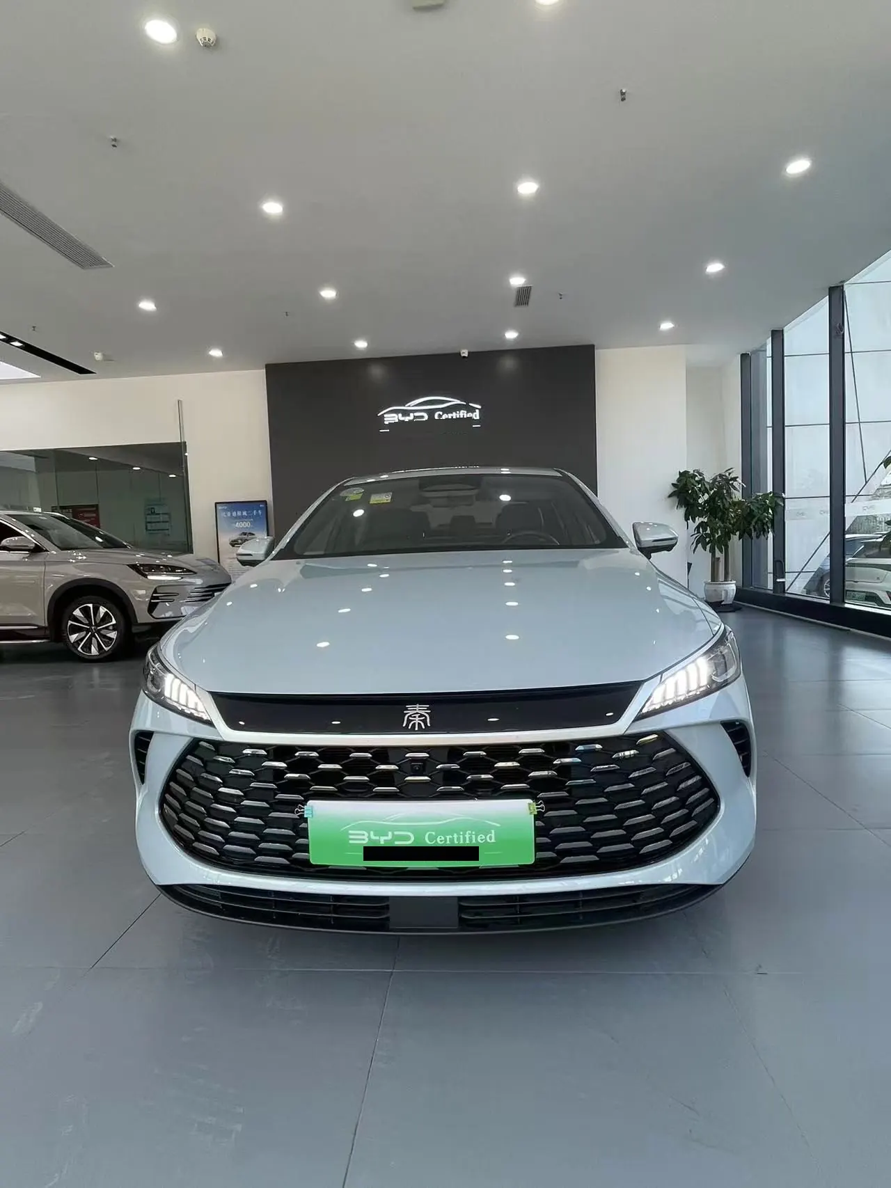 BYD 2026 Qin PLUS DM-i 1.5 stepless 210KM Exceed automatic gear 2