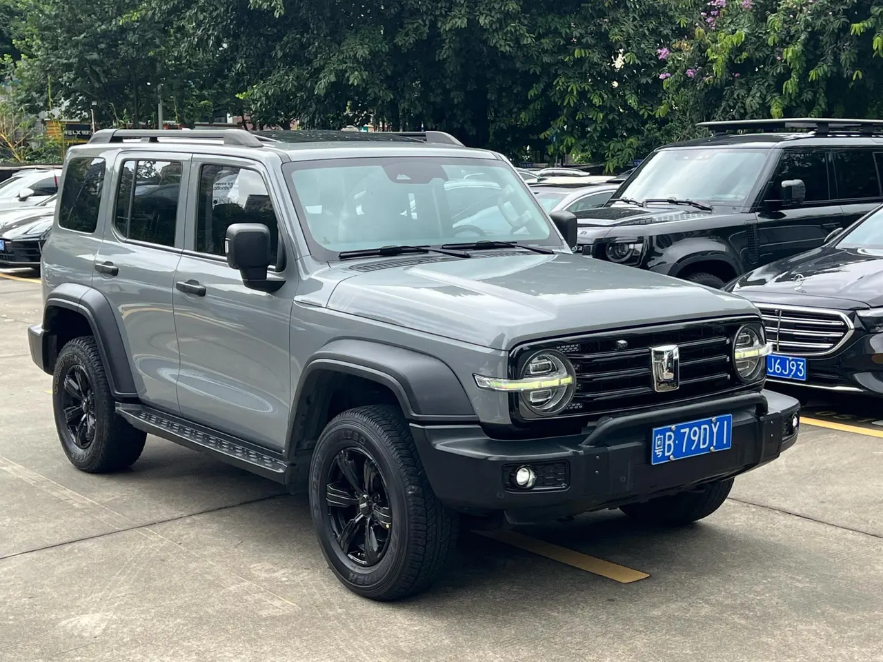 Tank 2021 Tank 300 2.0T Off-road Conqueror Automatic 13