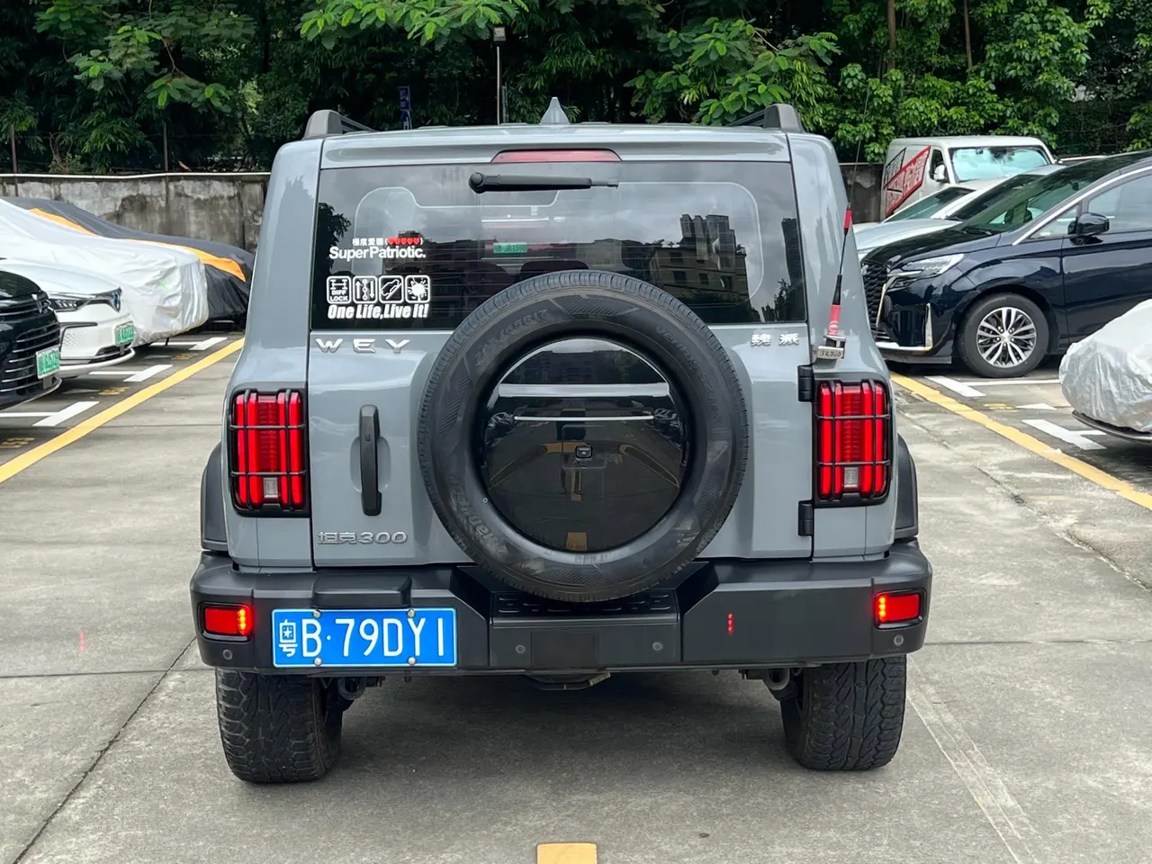 Tank 2021 Tank 300 2.0T Off-road Conqueror Automatic 14