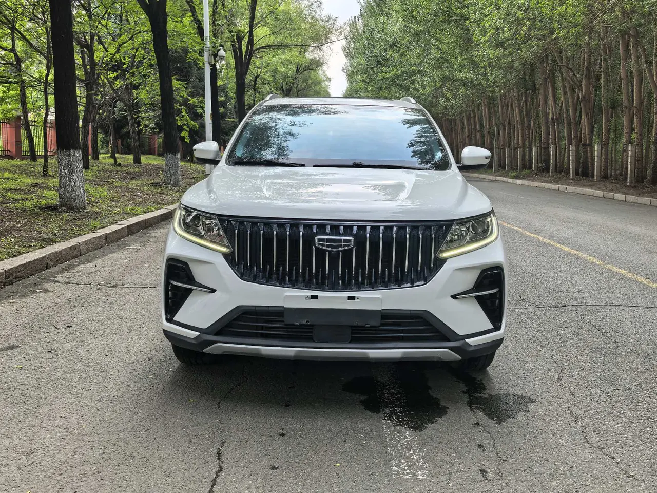 Geely Vision SUV(X6) 2021 Vision X6 Pro 1.4T Premium Automatic 2