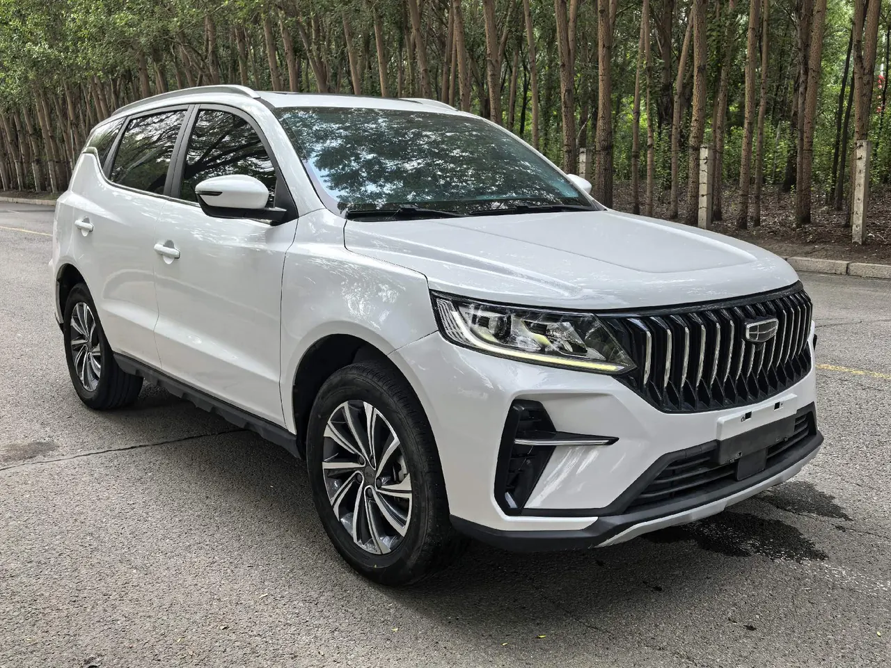 Geely Vision SUV(X6) 2021 Vision X6 Pro 1.4T Premium Automatic 3