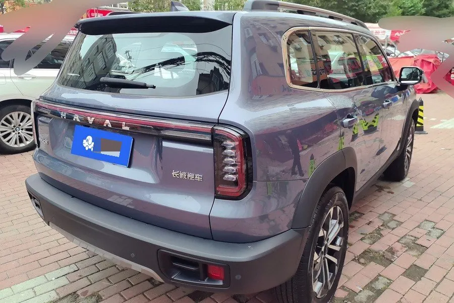 Haval 2022 big dogs 1.5T two-wheel-drive border animal husbandry version automatic gear 2