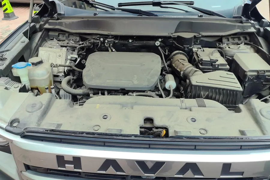 Haval 2022 big dogs 1.5T two-wheel-drive border animal husbandry version automatic gear 4
