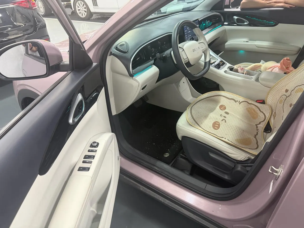 Geely 2025 Star Wish 310km Youth Edition Automatic Gear 3