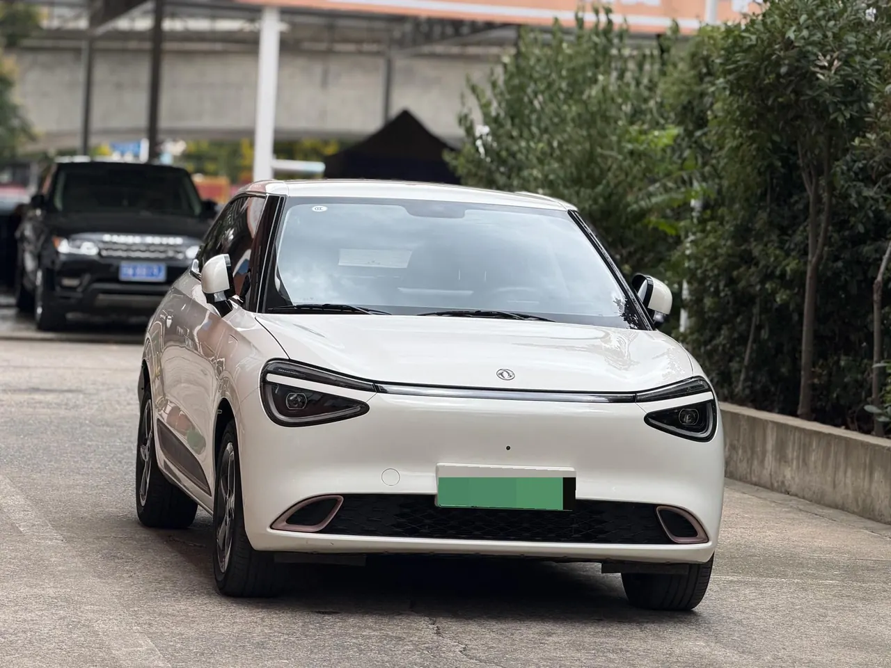 Dongfeng 2024 Nammi 01 430 Plus Smart Automatic 2