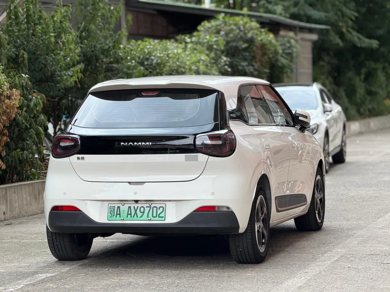 Dongfeng 2024 Nammi 01 430 Plus Smart Automatic 9