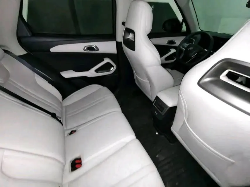 BYD 2025 Yuan UP 301KM Pilot Automatic Gear 2