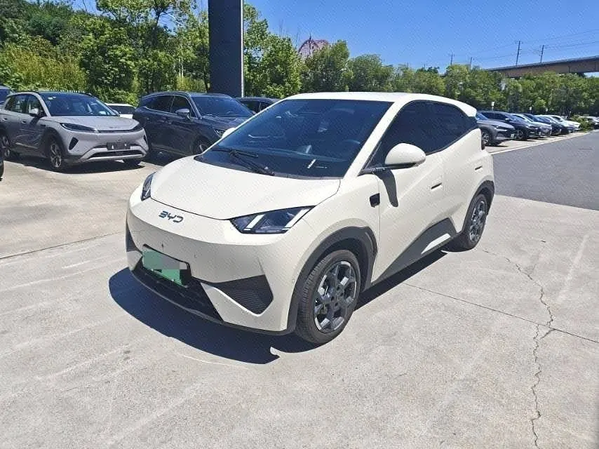 Open image lightbox: BYD 2025 Seagull Smart Driving Edition 305km Free Edition Automatic Gear