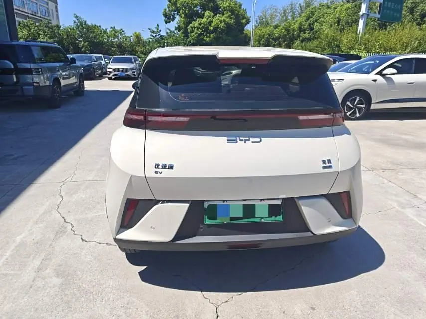 BYD 2025 Seagull Smart Driving Edition 305km Free Edition Automatic Gear 7