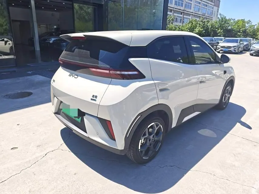BYD 2025 Seagull Smart Driving Edition 305km Free Edition Automatic Gear 8