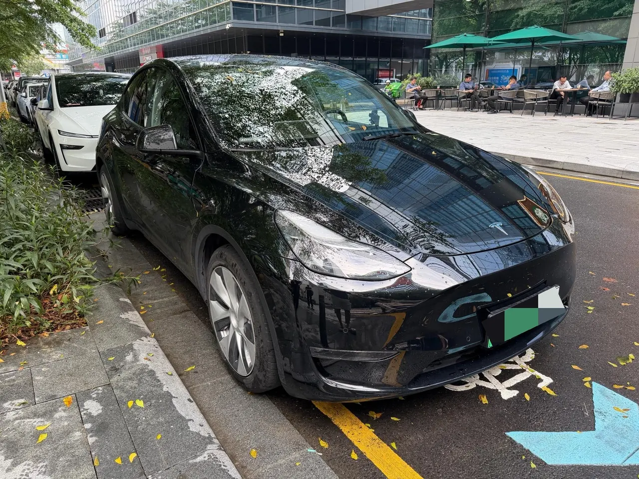Tesla 2021 Model Y Standard Endurance Rear Drive Automatic Gear 2