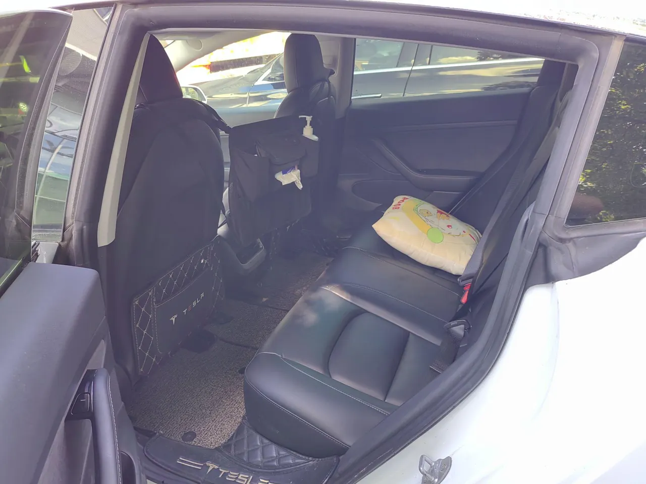 Tesla 2020 Model 3 Standard Endurance Rear Drive Upgraded Automatic Gear 11