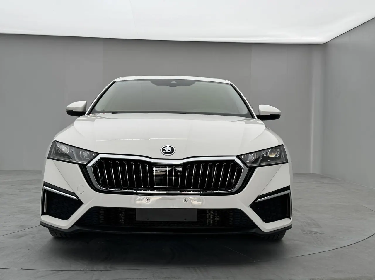 Skoda 2021 Ming Rui PRO 1.4TSI TSI280 Premium Edition Automatic Gear 2