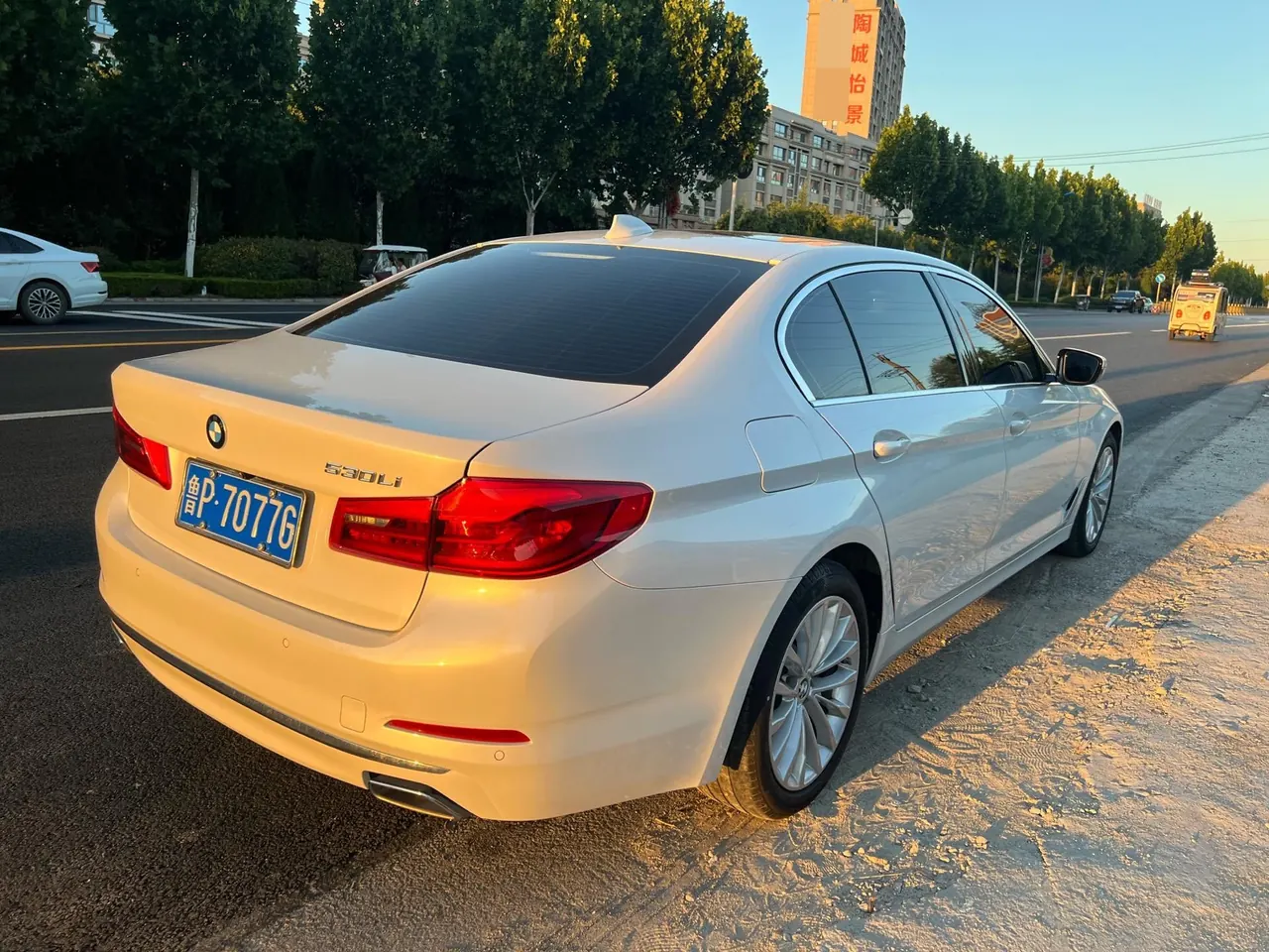 BMW 5 Series 2020 530Li 2.0T Leading Luxury Suit Automatic Gear 5