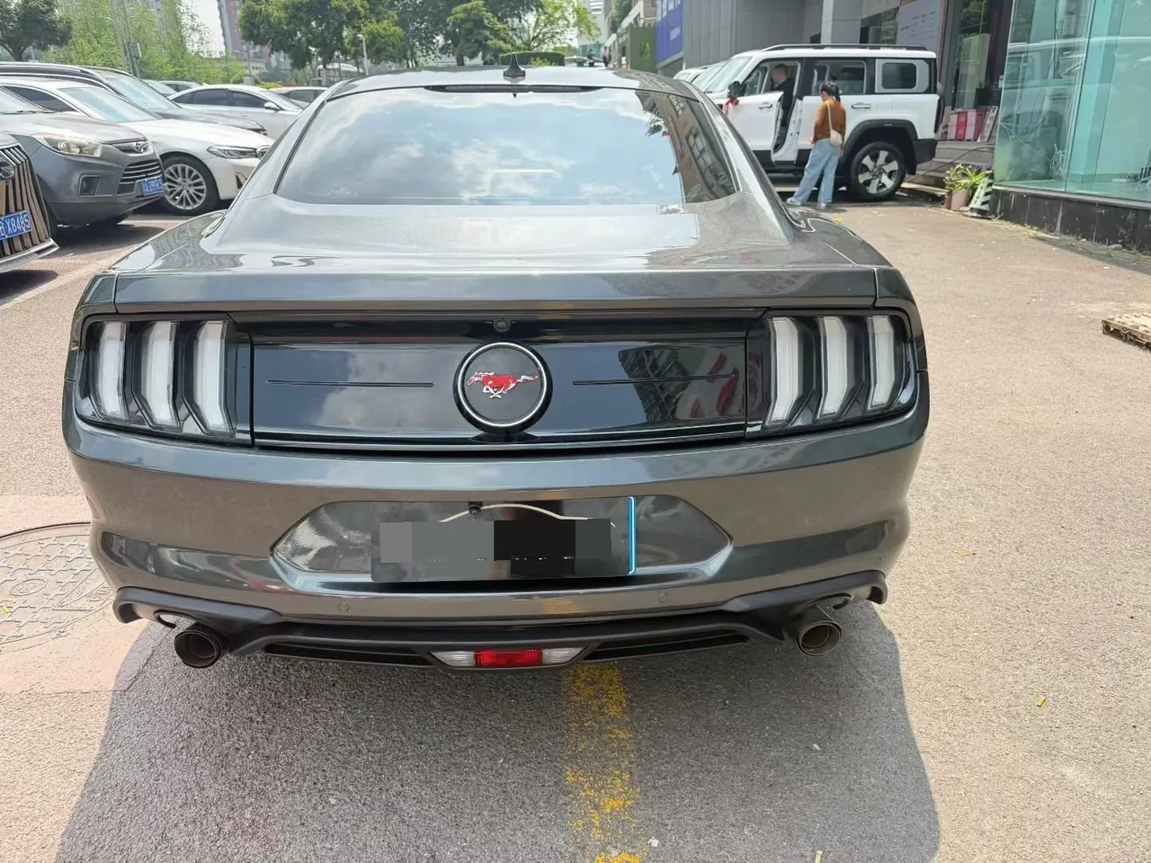 Ford Yema (Imported) 2020 Yema S 2.3T EcoBoost Obsidian Phantom of the Opera Special Edition Automatic Gear 4