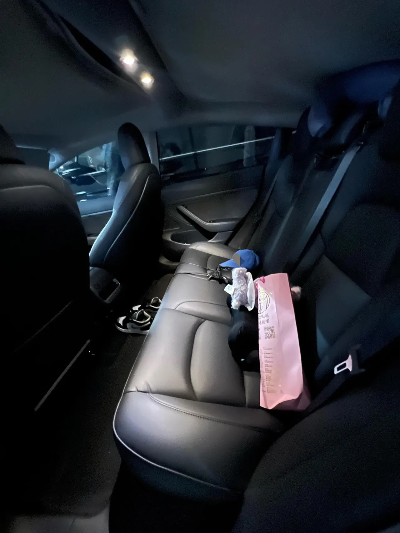 Tesla 2020 Model 3 Standard Endurance Rear Drive Upgrade (Modified) Automatic Gear 6