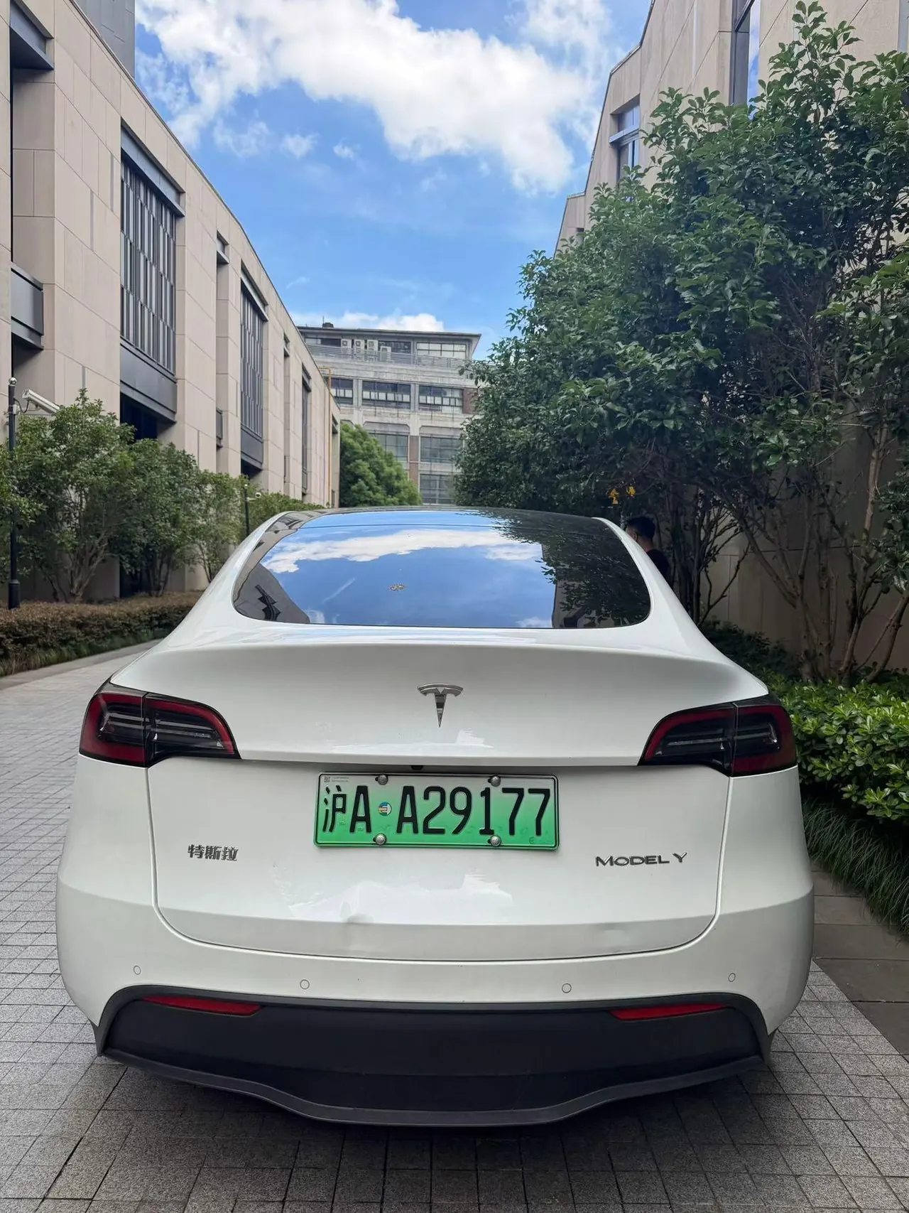 Tesla 2021 Model Y Standard Endurance Rear Drive Automatic Gear 3