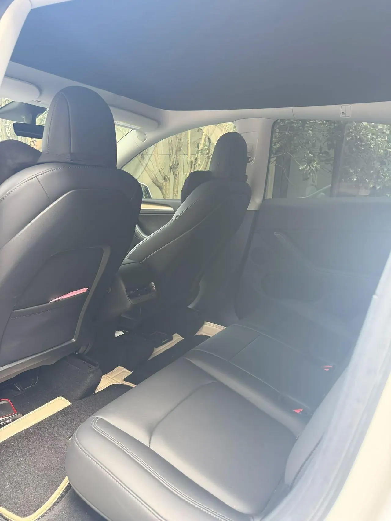 Tesla 2021 Model Y Standard Endurance Rear Drive Automatic Gear 5