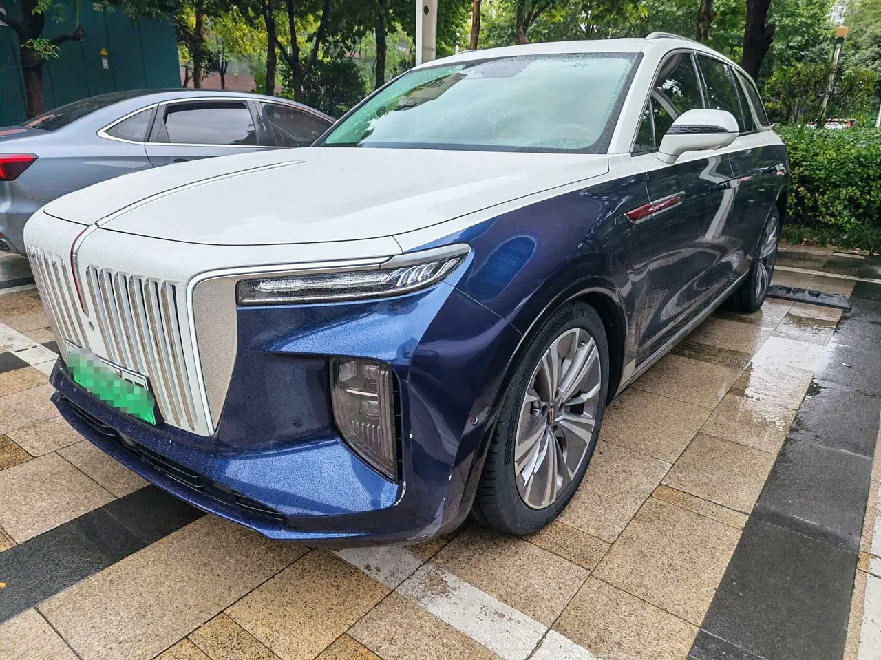 HongQi 2021 E-HS9 Flag Chang 6-seat Automatic - View 1