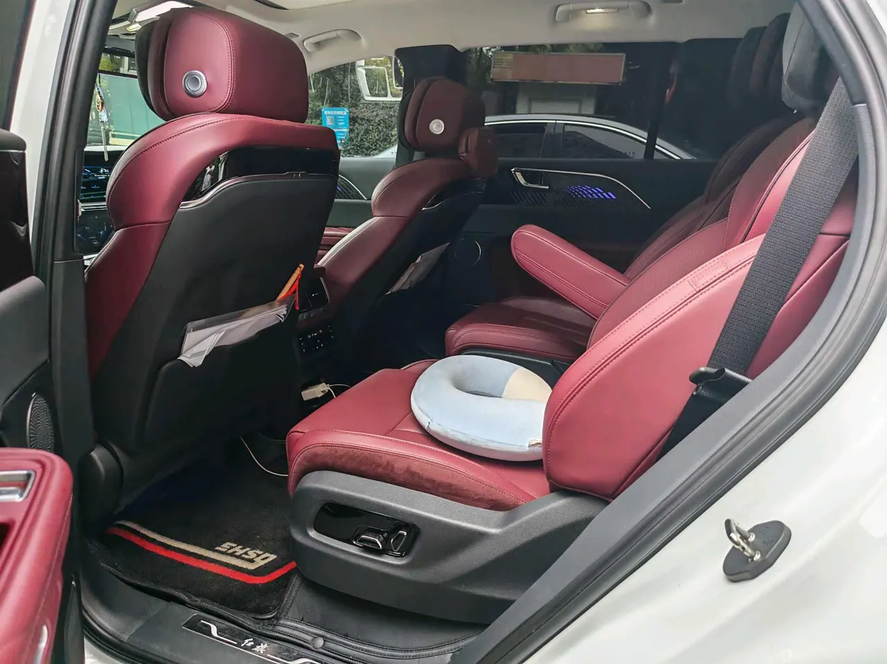 HongQi 2021 E-HS9 Flag Chang 6-seat Automatic 13