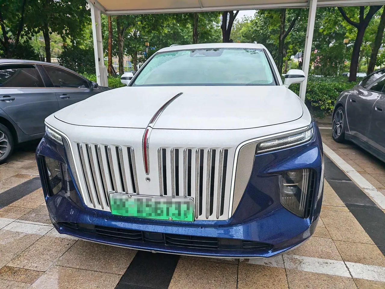 HongQi 2021 E-HS9 Flag Chang 6-seat Automatic 2