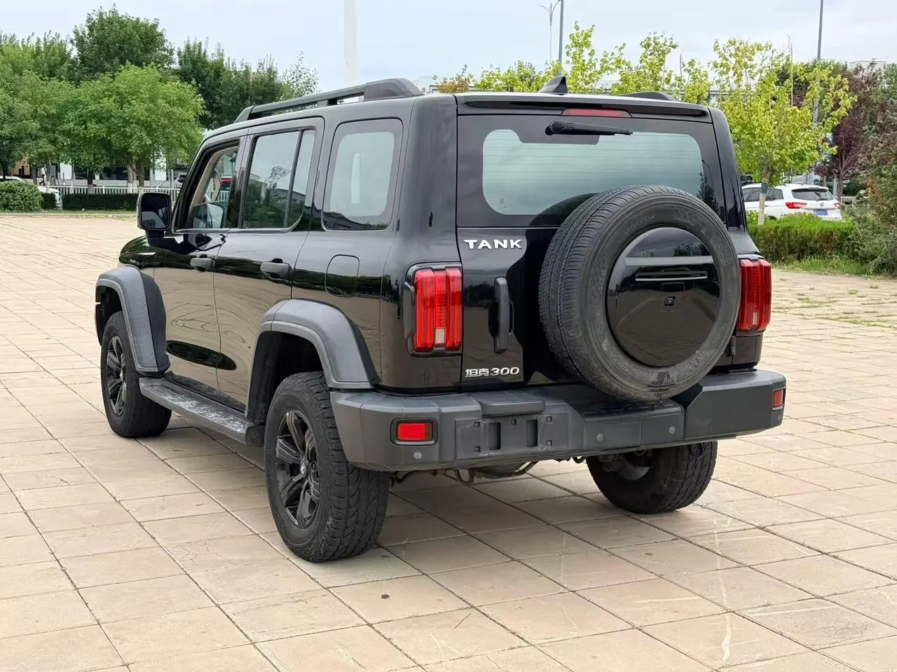 Tank 2021 Tank 300 2.0T Off-road Conqueror Automatic 9