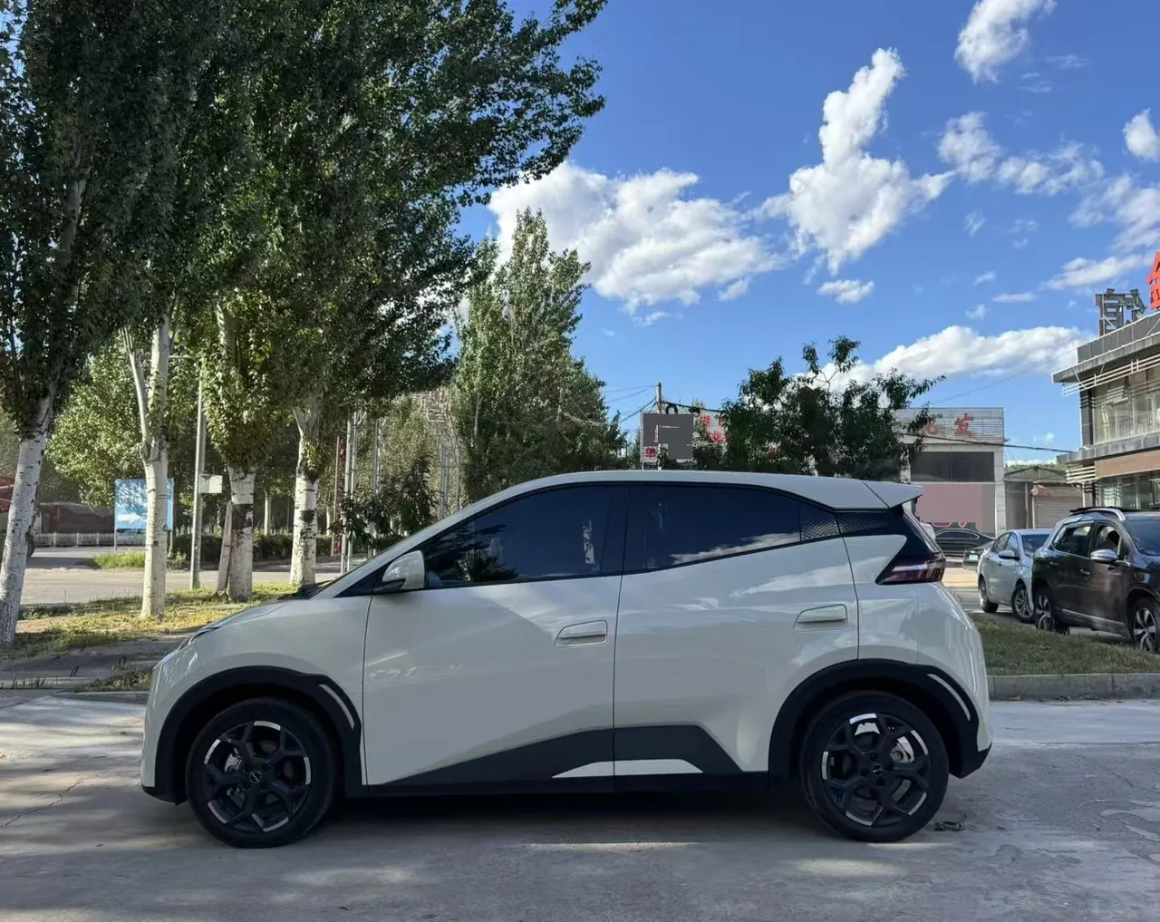 BYD 2025 Seagull Smart Driving Edition 405km Free Edition Automatic Gear 6