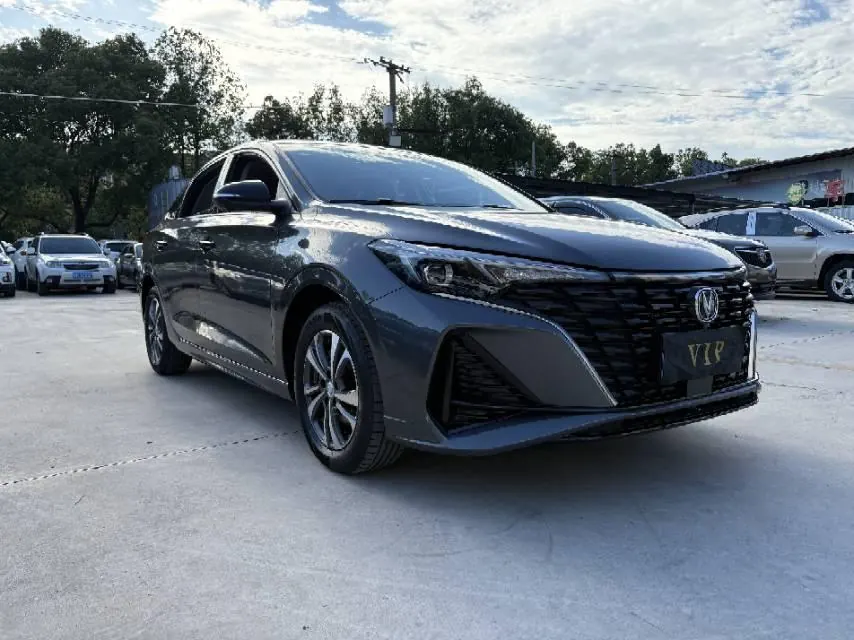 ChangAn 2024 Yidong PLUS 1.4TGDI Blue Whale NE High Energy Edition Automatic Gear 3