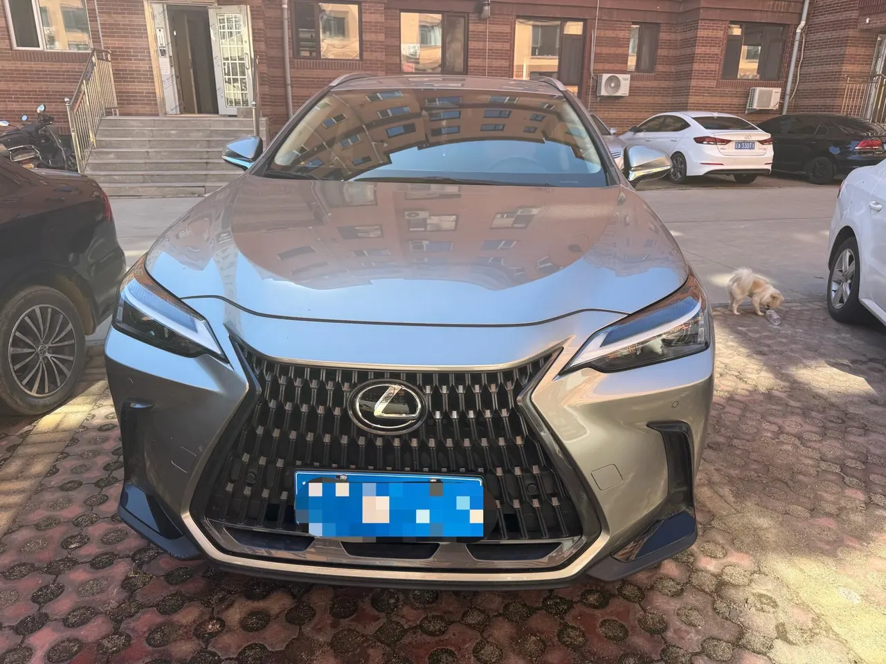 Lexus NX (Imported) 2022 NX260 2.5 Chuangchi Edition Automatic Gear 2