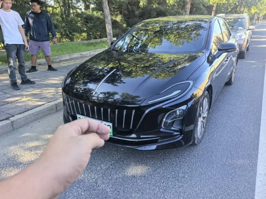 HongQi 2022 E-QM 5 431km Charging Enjoy Edition Automatic Gear - View 1